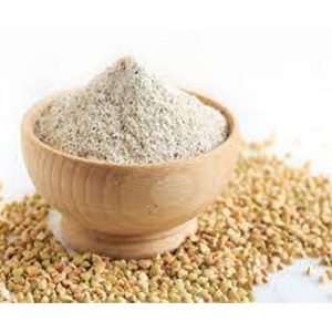 Sorghum