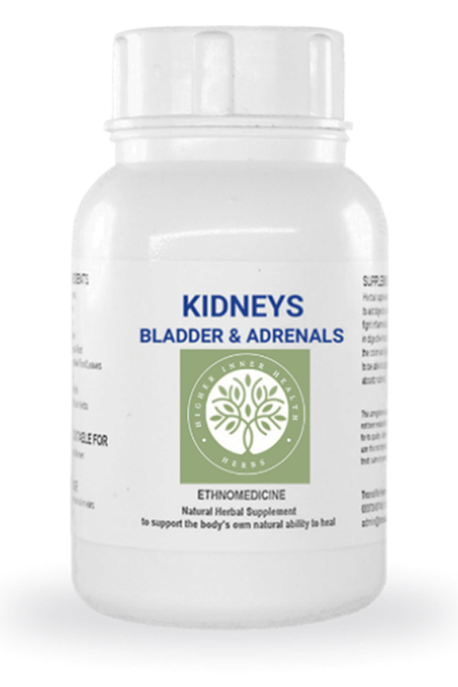 Kidney & Bladder